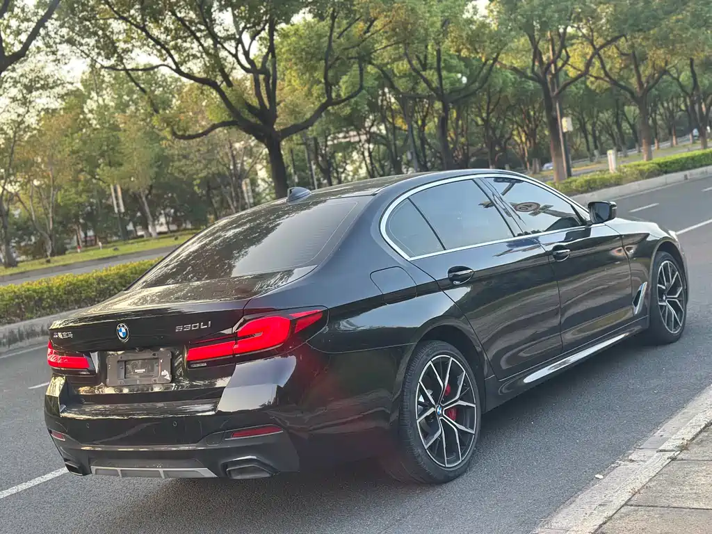 BMW 5 Series 5 2022 530Li Premium M Sport