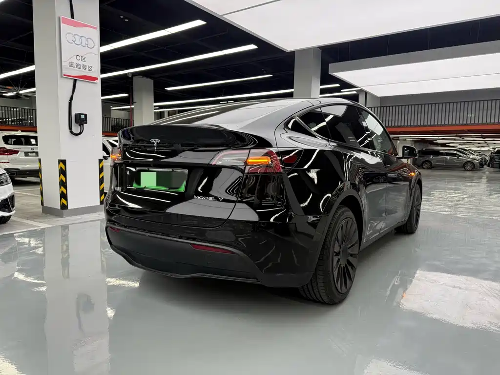Tesla Model Y — миниатюра 24