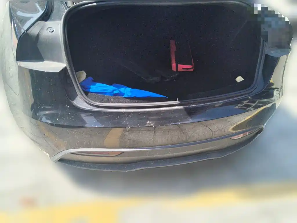 Tesla Model 3 — миниатюра 10
