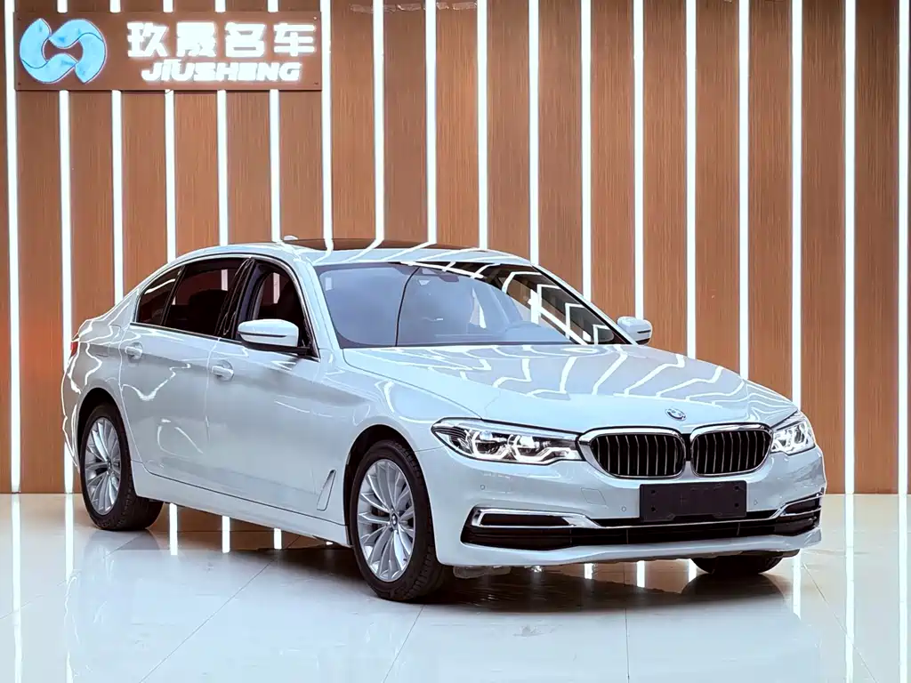BMW 5 Series New Energy — миниатюра 3