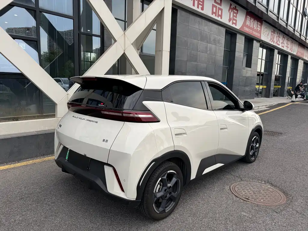 BYD Seagull — миниатюра 19