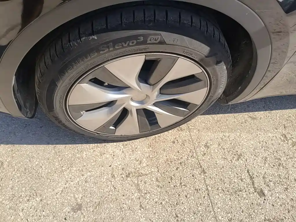 Tesla Model Y — миниатюра 23