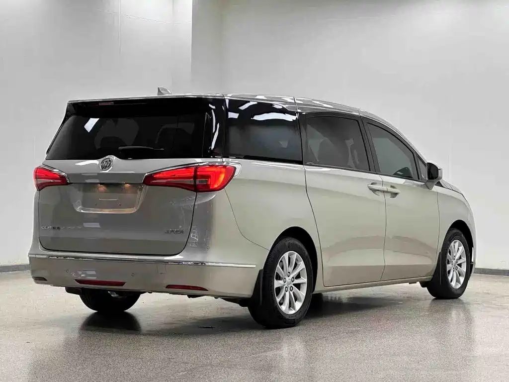 Buick GL8 — миниатюра 30