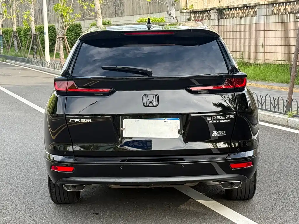 Honda Breeze — миниатюра 11