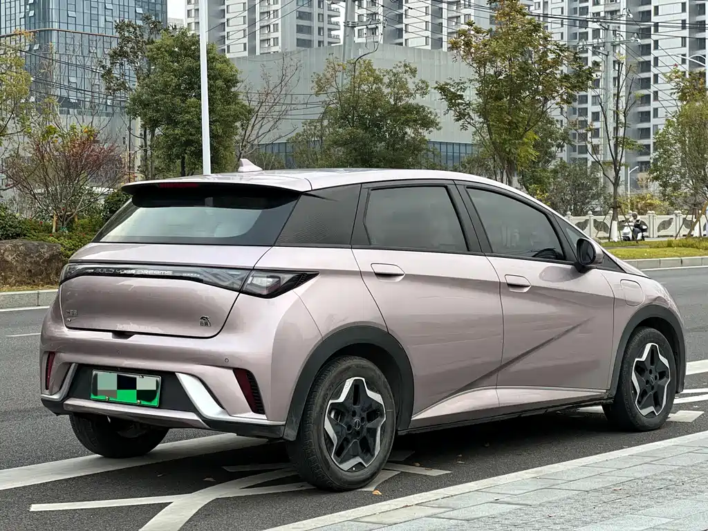 BYD DOLPHIN