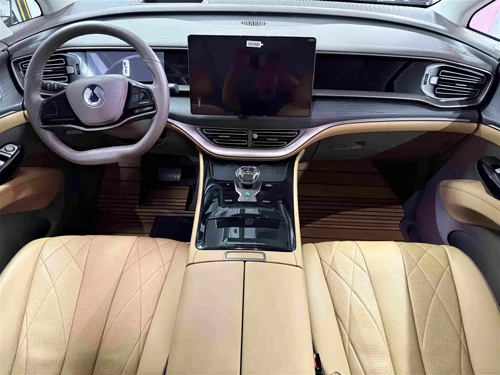 Denza Denza D9 — миниатюра 8