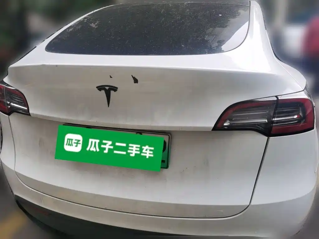 Tesla Model Y — миниатюра 3