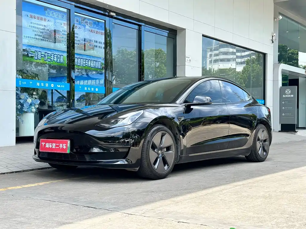 Tesla Model 3 2021