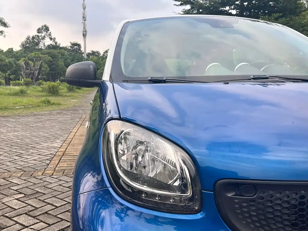 smart Smart Forfour — миниатюра 6