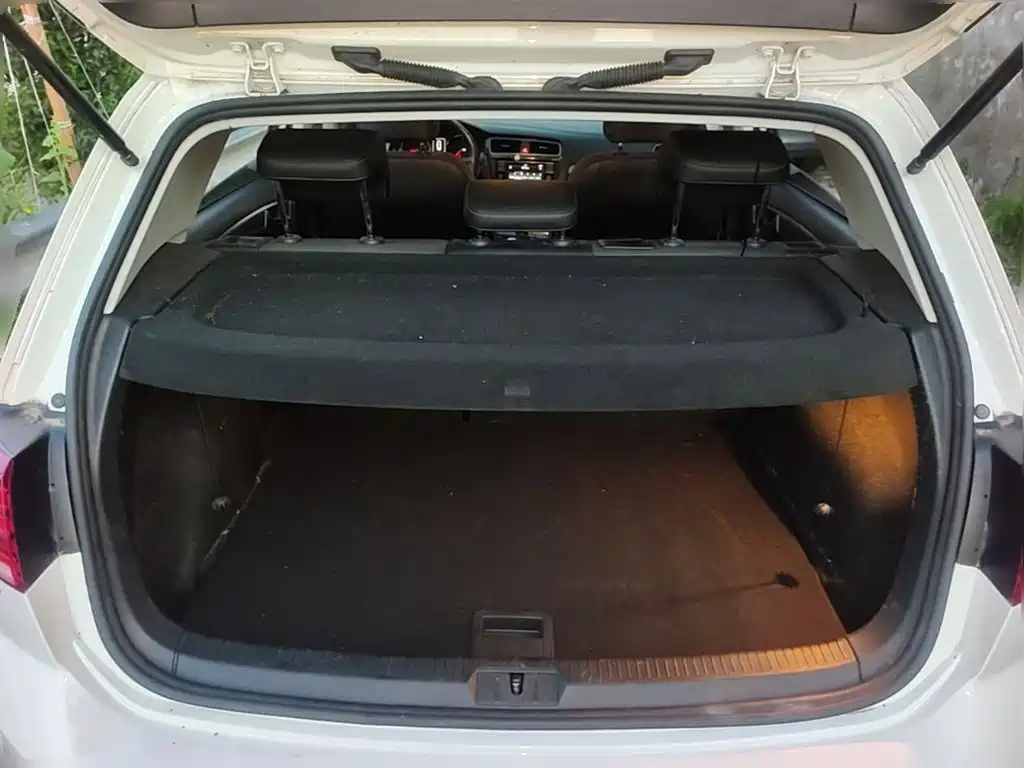 Volkswagen Golf — миниатюра 24
