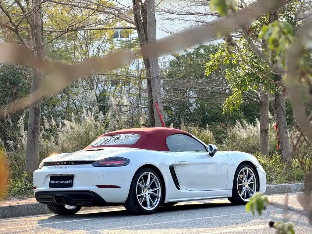 Porsche 718 — миниатюра 7