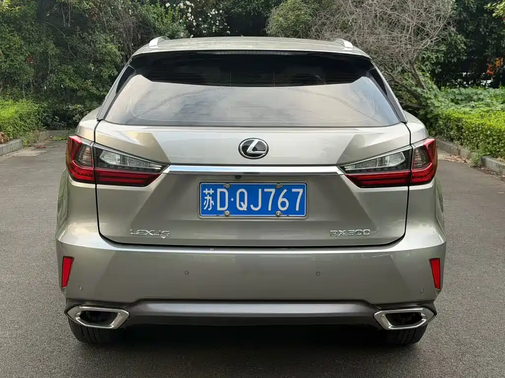 Lexus RX — миниатюра 8