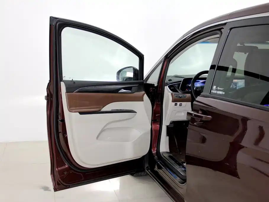 Buick GL8 — миниатюра 5