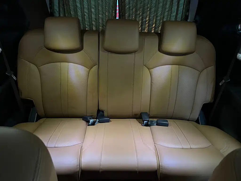 SAIC MAXUS CHASE G10