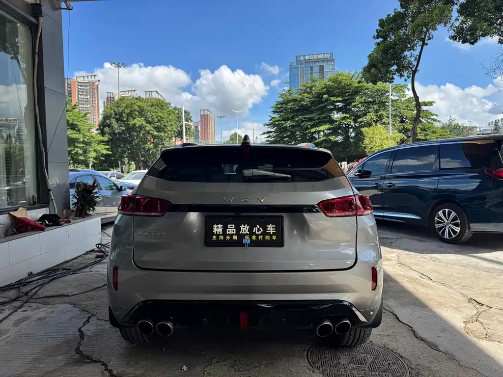 WEI PAI WEI BRAND VV7