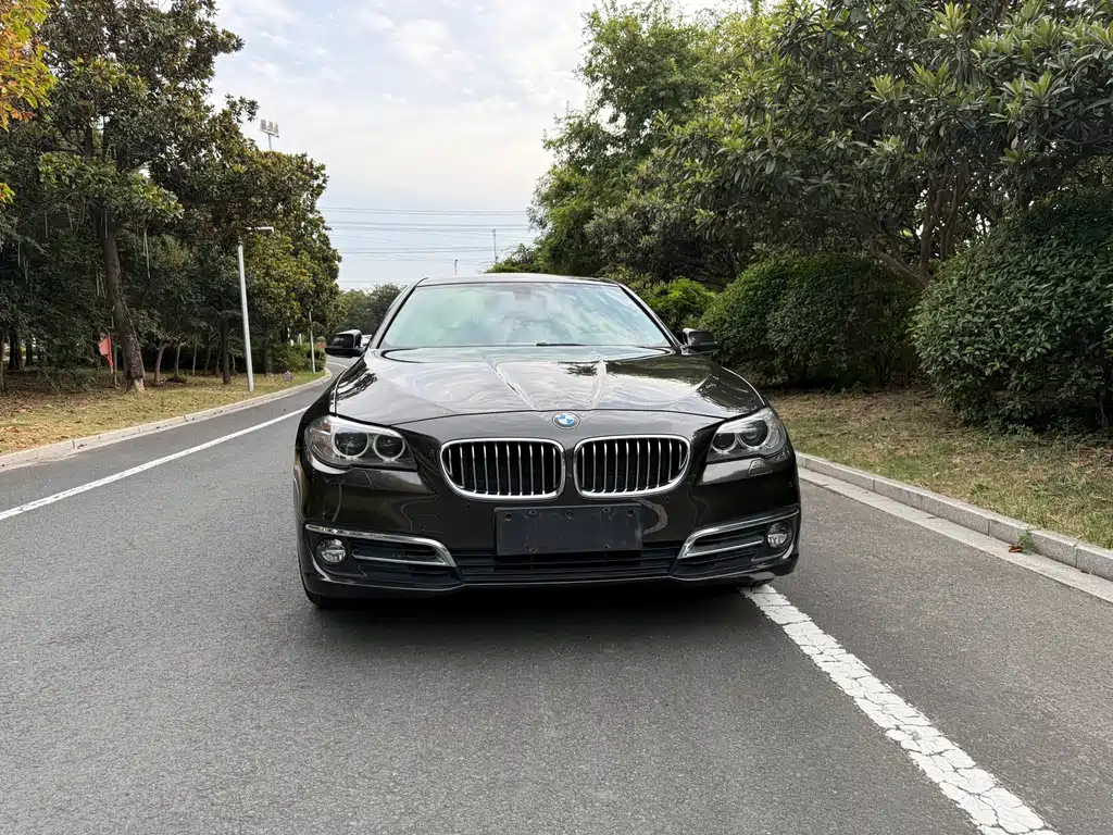 BMW 5 Series — миниатюра 2