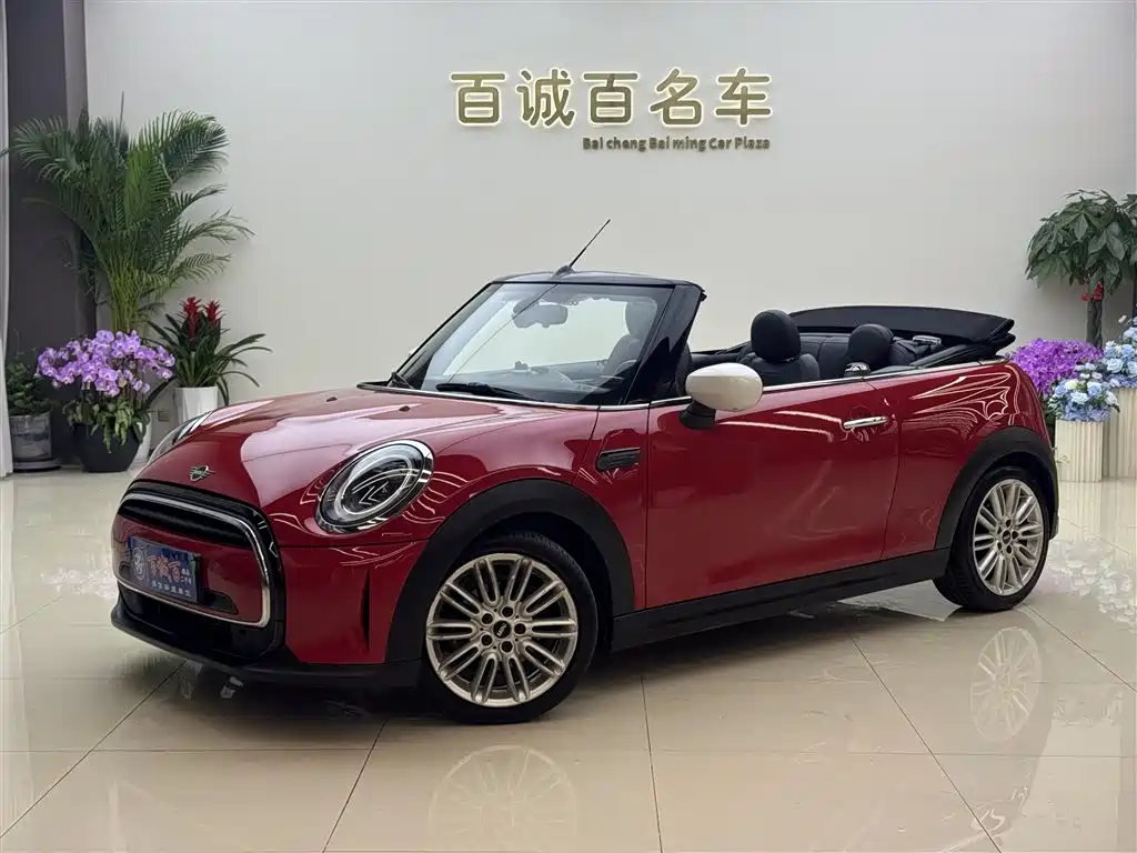 Mini Mini 2022
