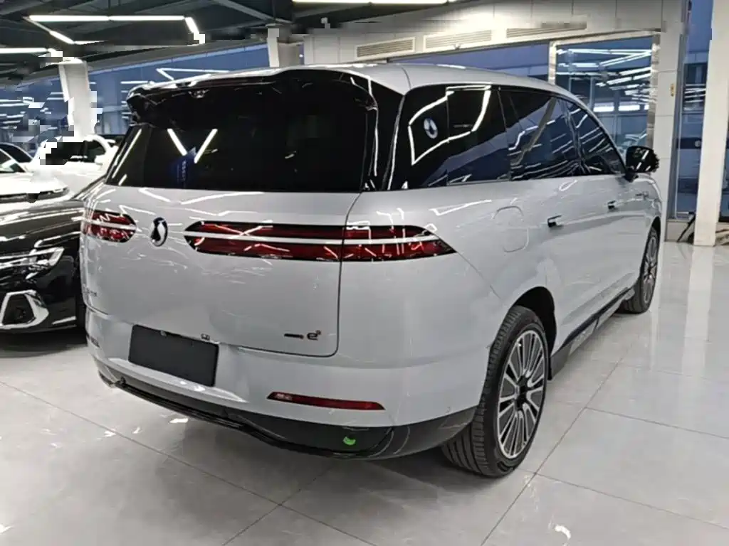 Denza Denza N8L — миниатюра 7