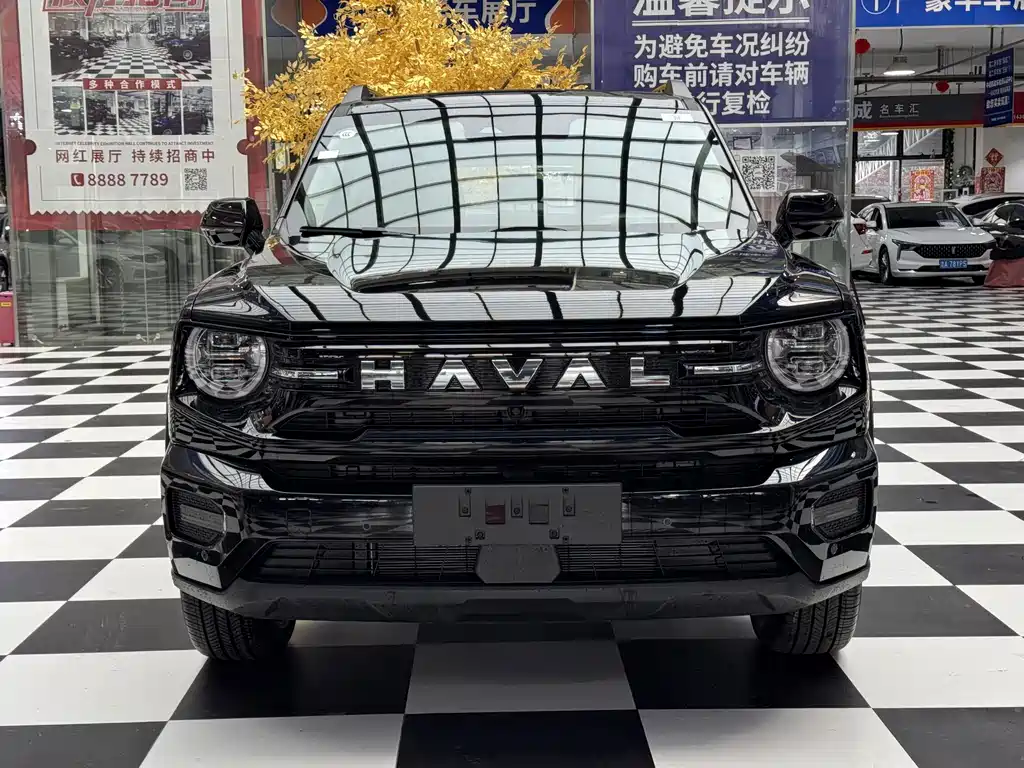 Haval Big Dog PLUS New Energy — миниатюра 2