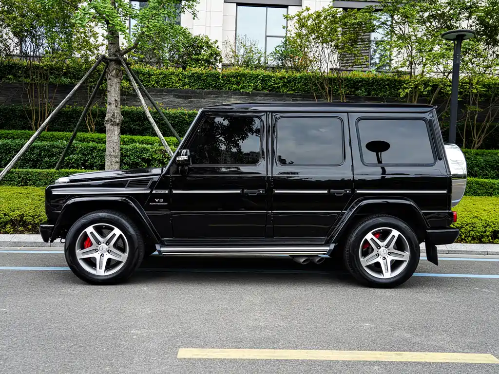 Mercedes-Benz G-Class A MG G AMG 2009 AMG G 55