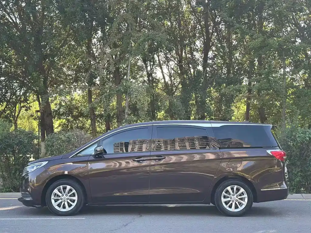 Buick GL8 — миниатюра 7