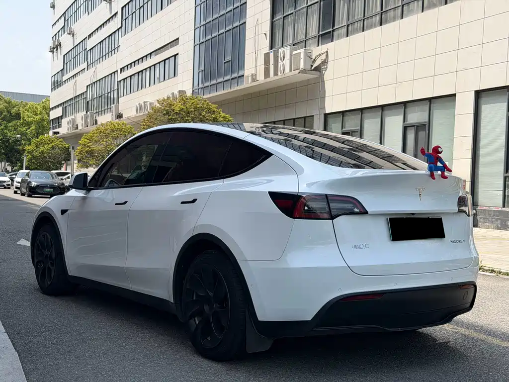 Tesla Model Y — миниатюра 13