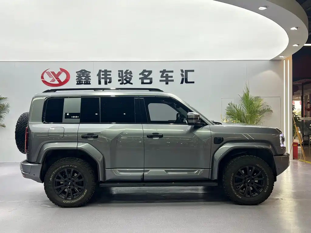 FANG CHENG BAO LEOPARD 5