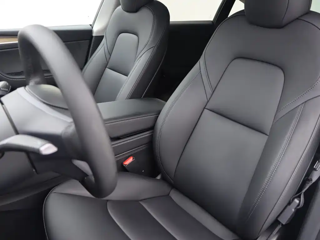 Tesla Model Y — миниатюра 7