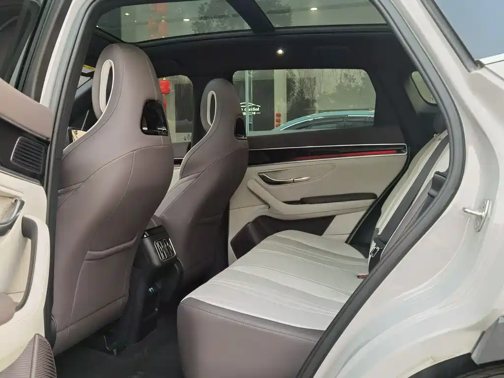 BYD SONGJIANG NEW ENERGY