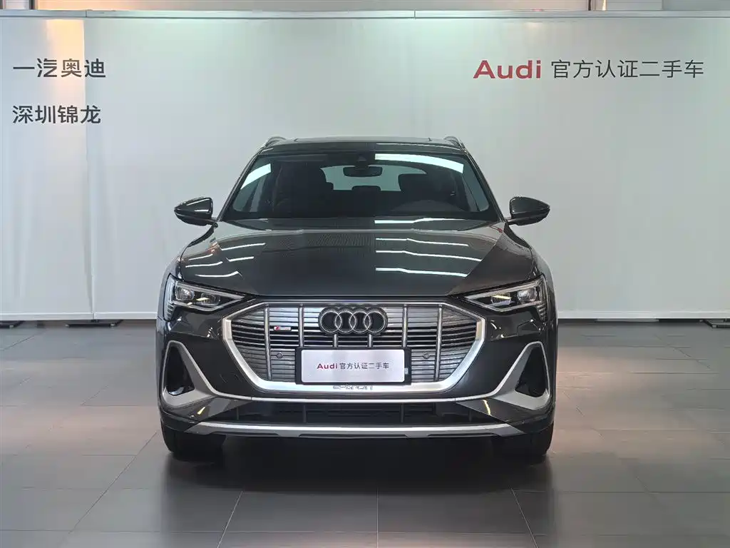 Audi e-tron 2021 50 quattro Luxury