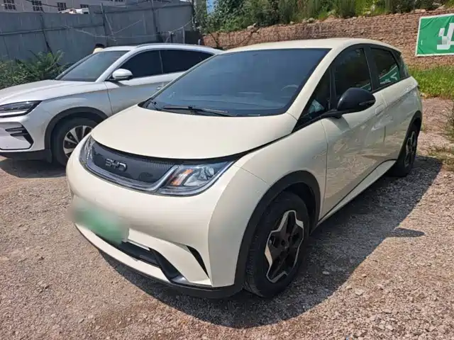 2024 BYD Dolphin