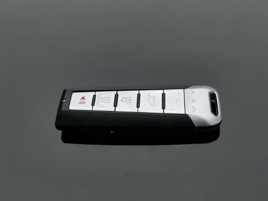 WEI PAI WEI BRAND VV7