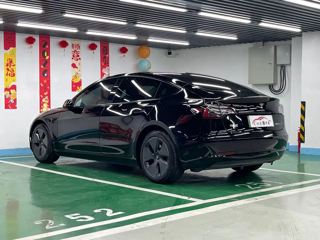 Tesla Model 3 2021 3D6