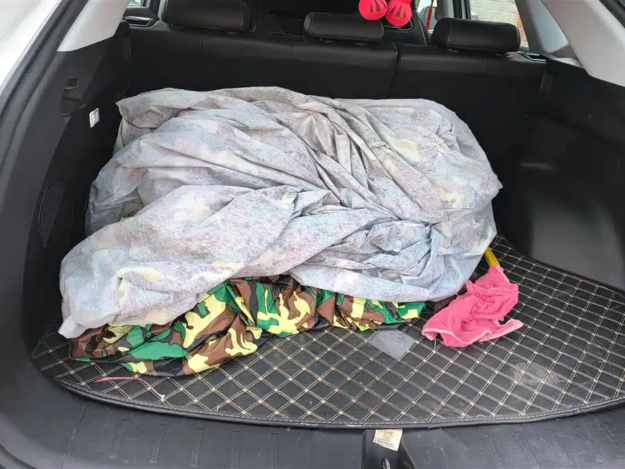 CHANGAN CHANGAN AUCHAN Z6