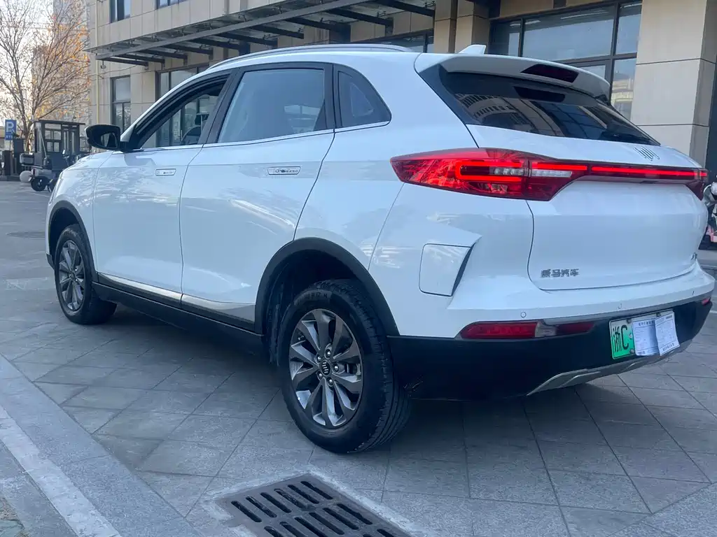 Weltmeister WEIMA EX5