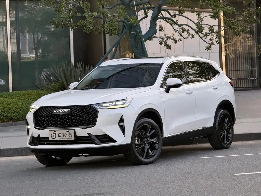 2021 Haval H6 - zdjęcie 1 z 27
