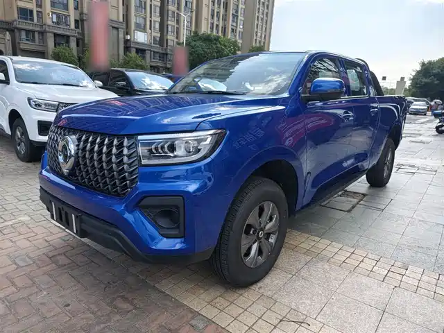 GREAT WALL CANNON 2023