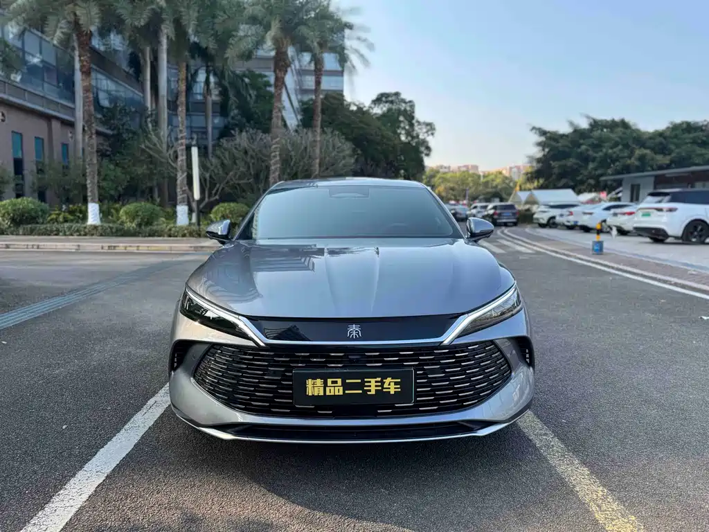 BYD QIN L