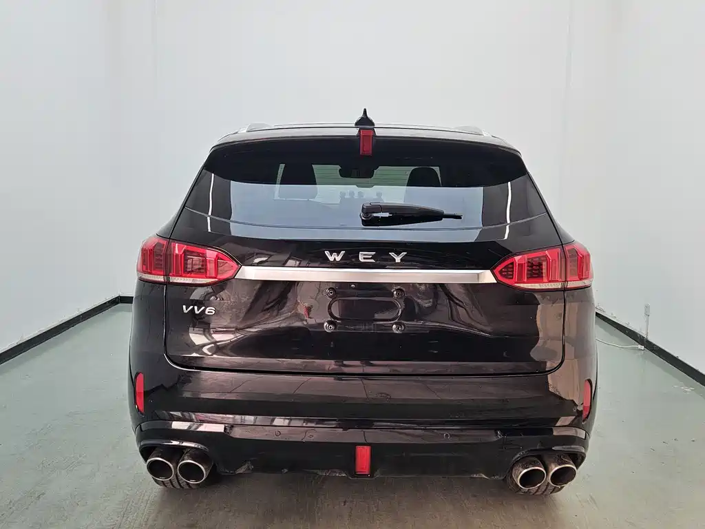 WEI PAI WEI BRAND VV6