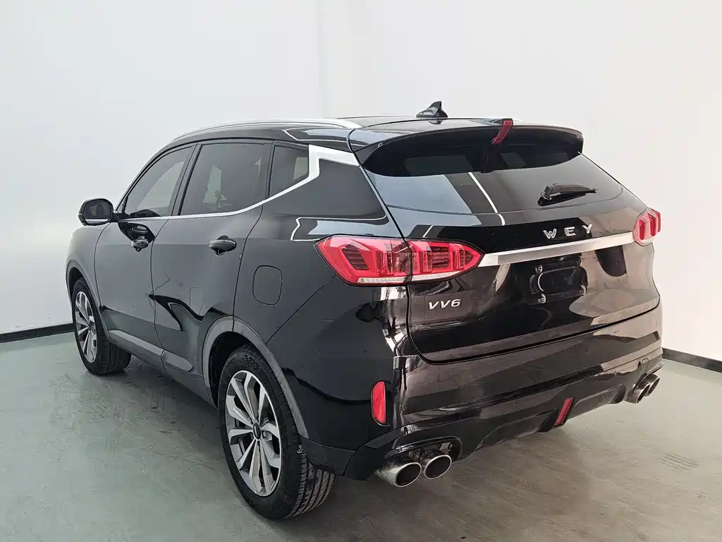 WEI PAI WEI BRAND VV6