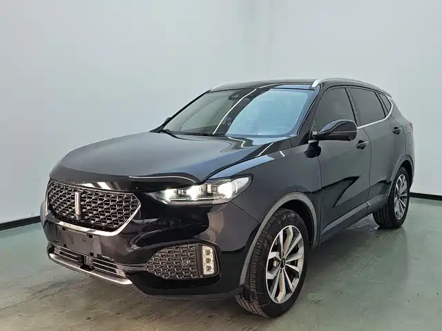 wei-pai wei-brand-vv6