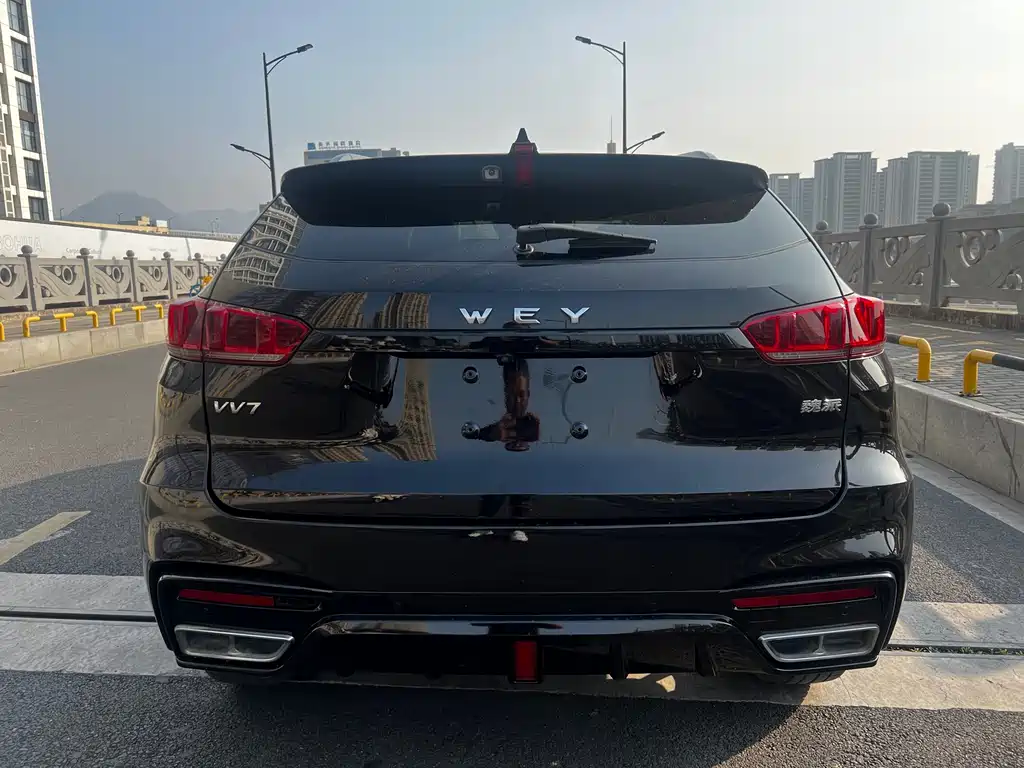 WEI PAI WEI BRAND VV7