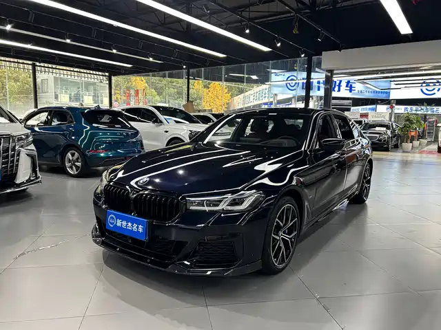 BMW 5 SERIES