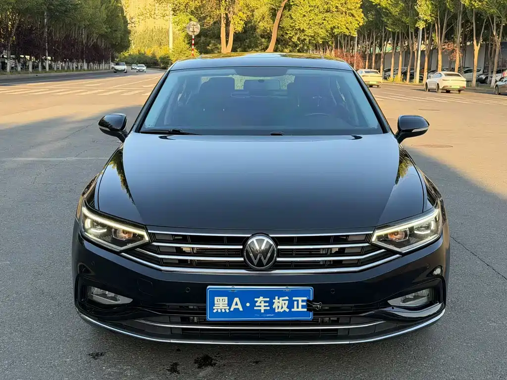 Volkswagen Magotan — миниатюра 2