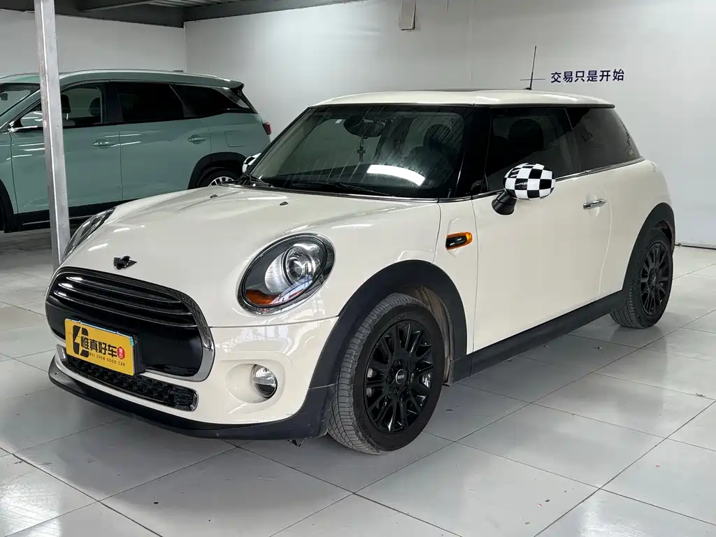 Mini Mini 2018
