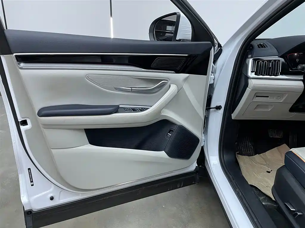 BYD SONGJIANG NEW ENERGY