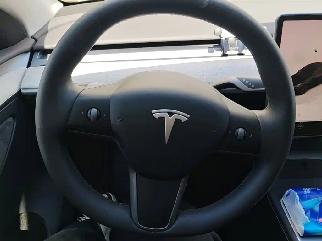 Tesla Model Y — миниатюра 11