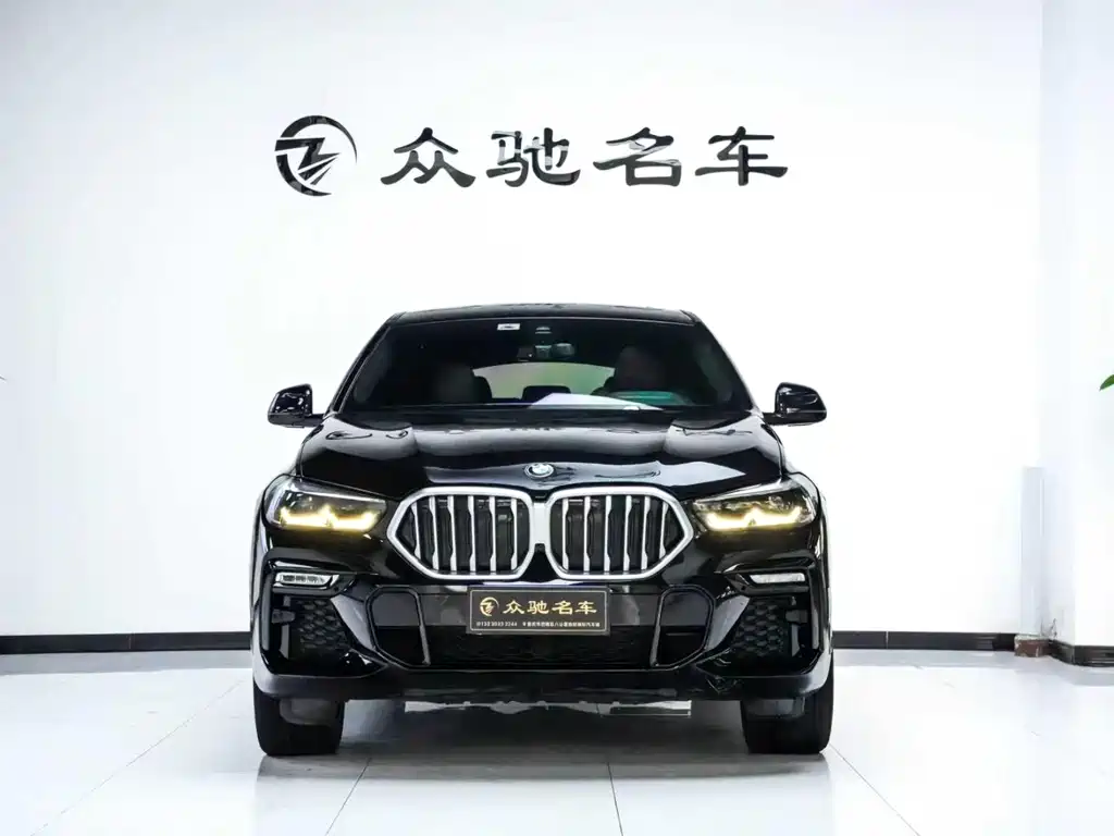BMW X6 — миниатюра 2