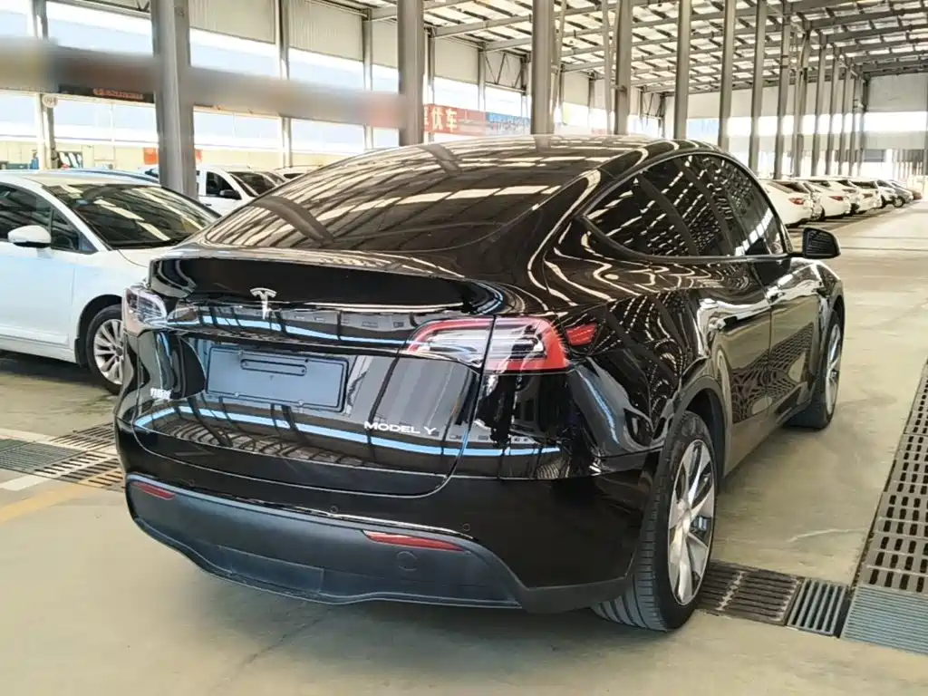 Tesla Model Y — миниатюра 7