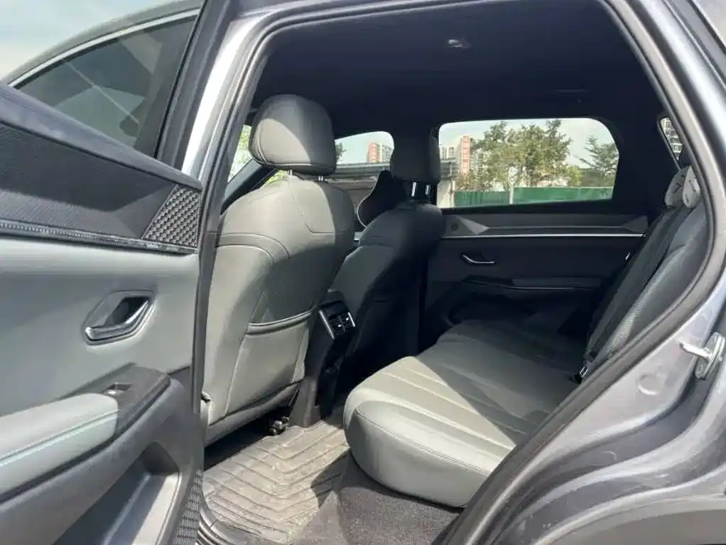 BYD Pro New Energy — миниатюра 6